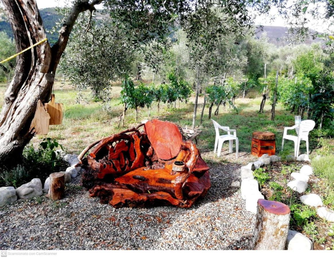 Bed and Breakfast L'Oasi Auletta Exterior foto